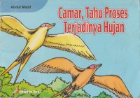 Image of Camar, Tahu Proses Terjadinya Hujan