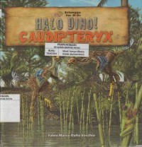 Image of Halo Dino!: Caudipteryx