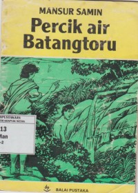 Image of Percik Air Batangtoru